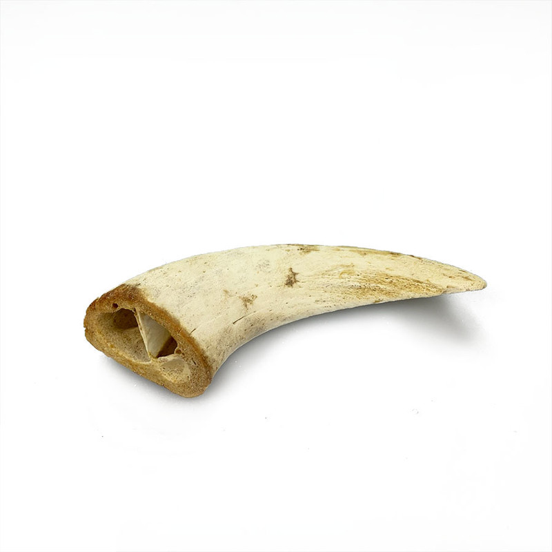 Lamb Horn Marrow
