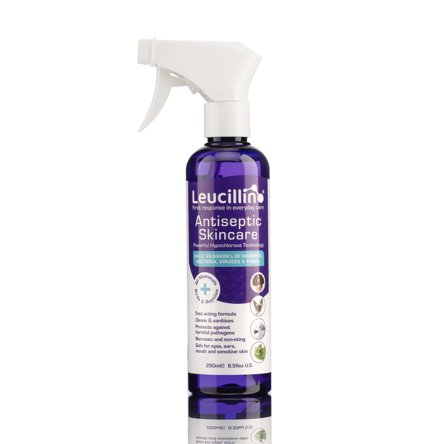 Leucillin Antiseptic Spray